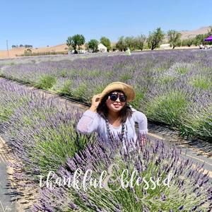 Meet your Posher, Leida